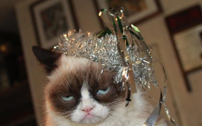 Hey !!! Lapinou Year !!!